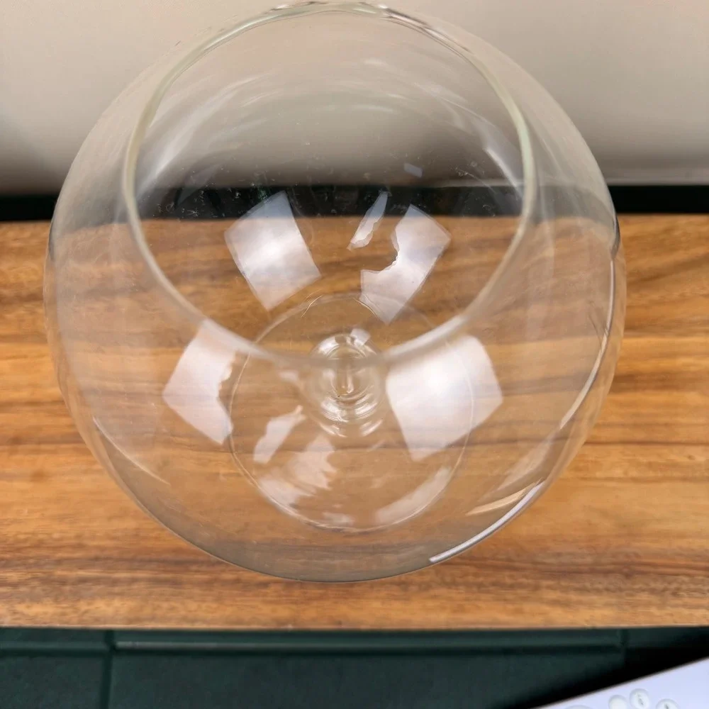 Vintage Clear Glass Bubble Vase Terrarium Centerpiece 9 Inch